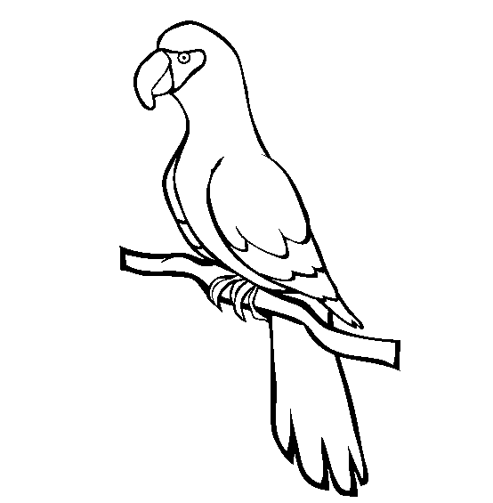 desene de colorat papagal